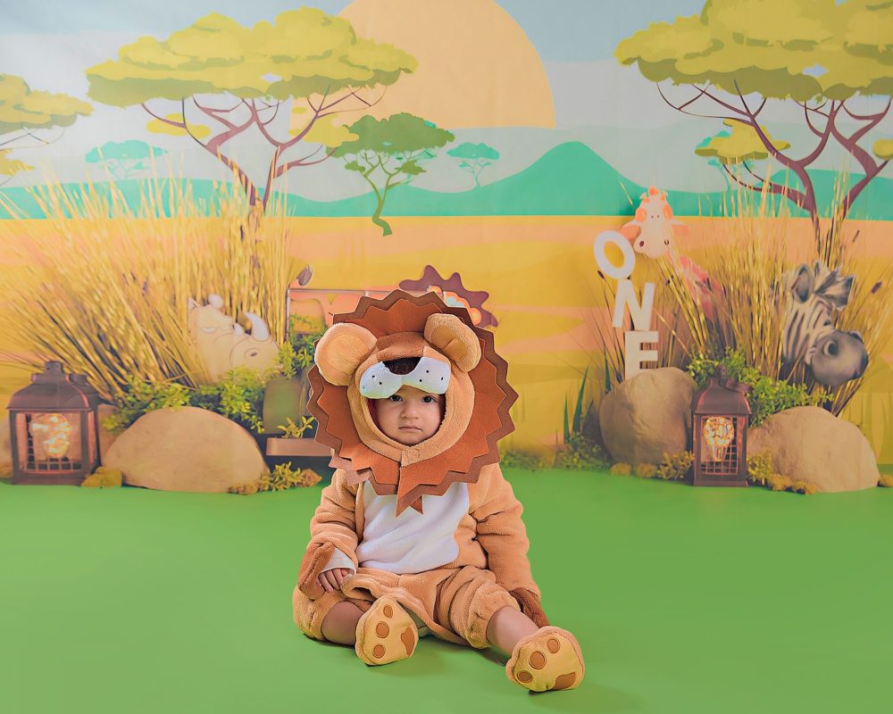 A little boy sits against a colourful backdrop wearing a lion costume. Staring right at the camera. Chosen as one of our favourite studio sessions from January.