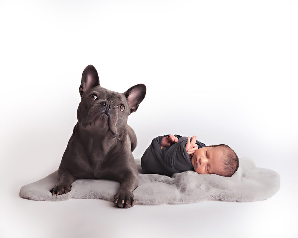 A dog and a baby in a photo taken by Baby Boutique Manchester. The dog looks up and the newborn is asleep on the soft rug. Newborn photography. Pet Photography.