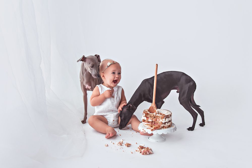 Cake Smash Session featuring two dogs and a baby. The cake is a naked cake with buttercream and a spoon sticking out. Baby Boutique in Manchester is a professional baby photography studio.